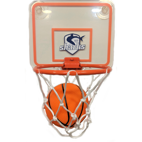 School Spirit Basketball Net & Ball